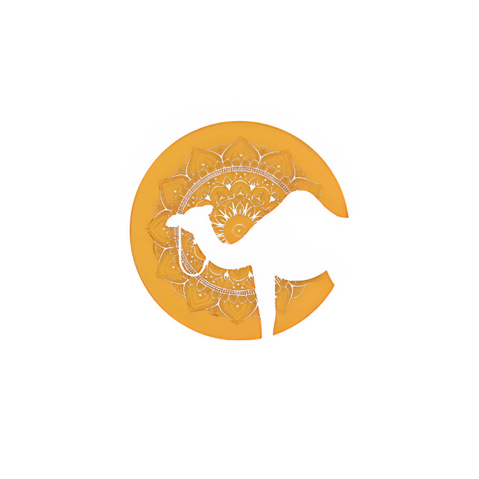 Padhaaro Logo